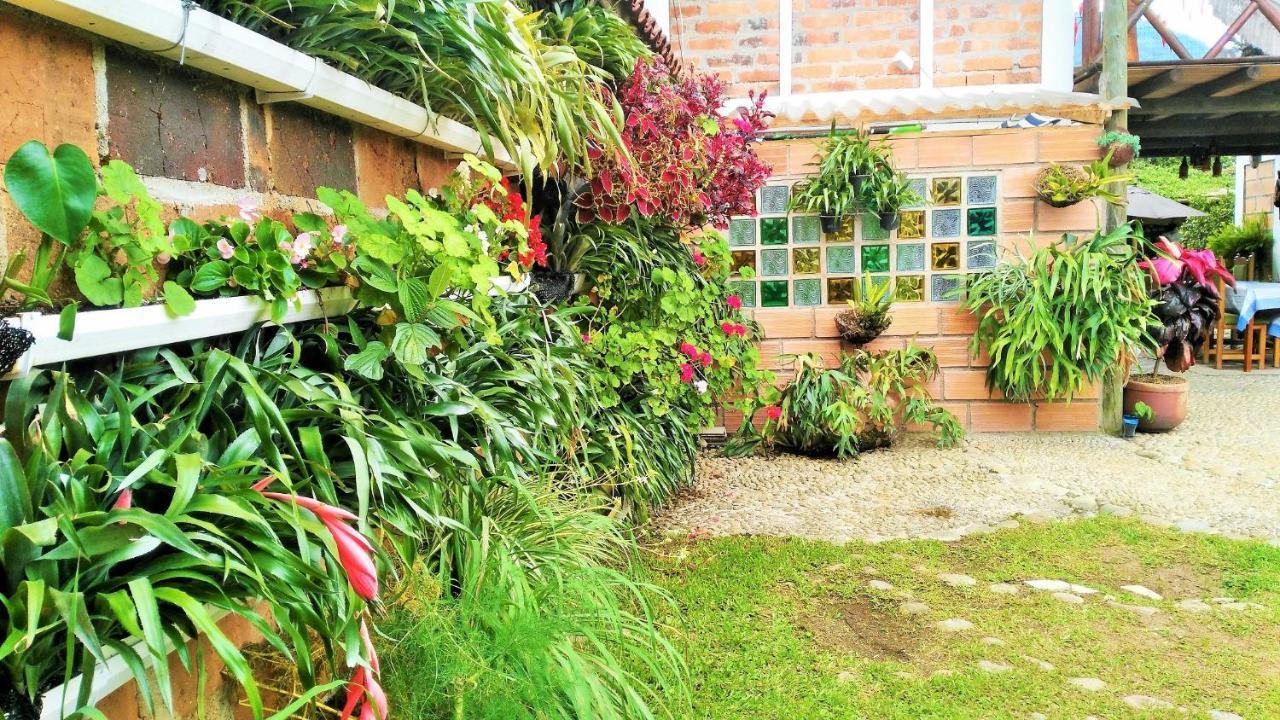 Hotel Kantarrana Urbana Jardín Dış mekan fotoğraf