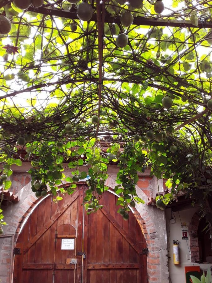 Hotel Kantarrana Urbana Jardín Dış mekan fotoğraf