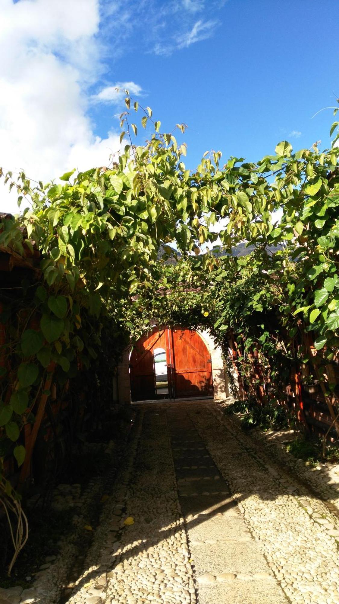 Hotel Kantarrana Urbana Jardín Dış mekan fotoğraf