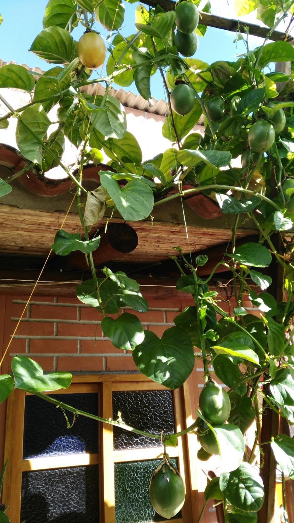 Hotel Kantarrana Urbana Jardín Dış mekan fotoğraf