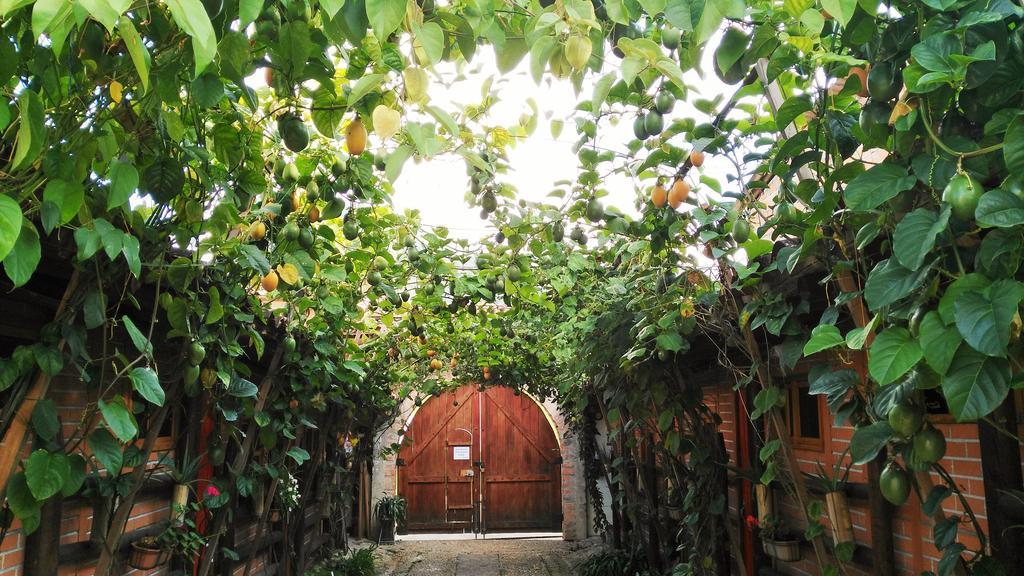 Hotel Kantarrana Urbana Jardín Dış mekan fotoğraf